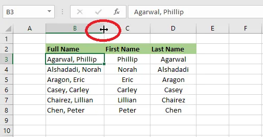 Double-clicking a column border to AutoFit its width