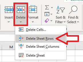 Choosing Delete Sheet Rows