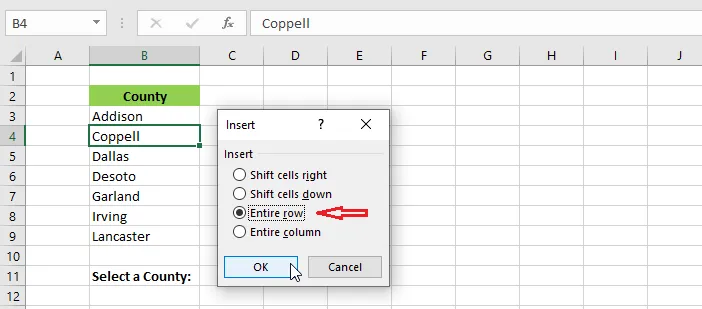 Choosing Entire row in the Insert dialog box