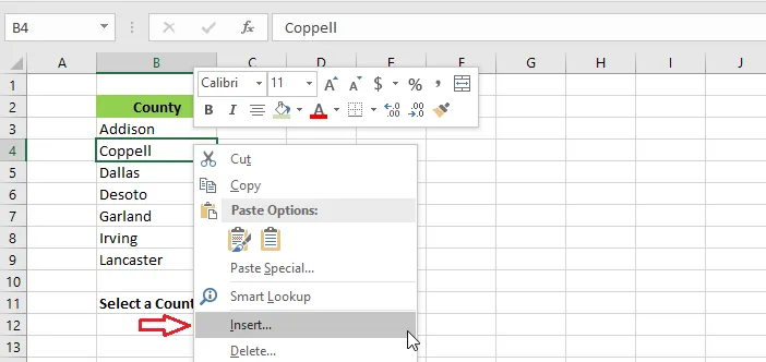Choosing Insert from the right-click menu
