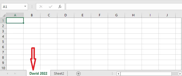 Typing a new name on the sheet tab