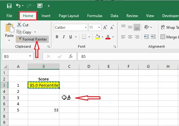 The Format Painter button on the Home tab