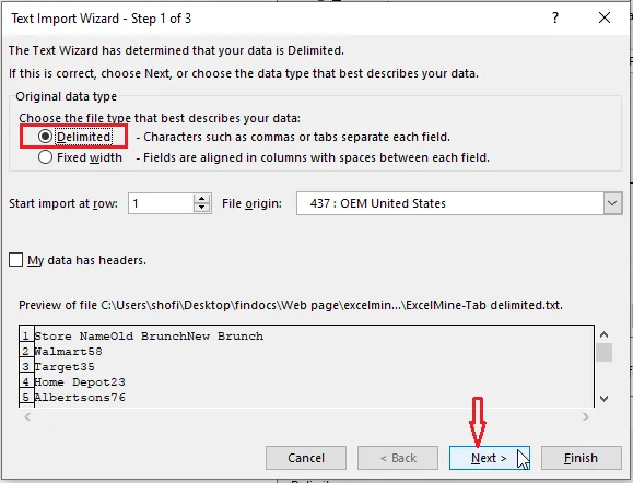 Choosing Delimited in the Text Import Wizard
