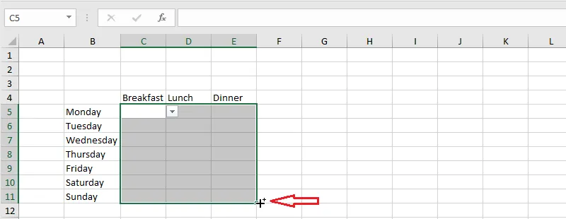 Copying the drop-down lists down for each day
