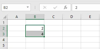 The numbers 2 and 4 typed in B2 and B3