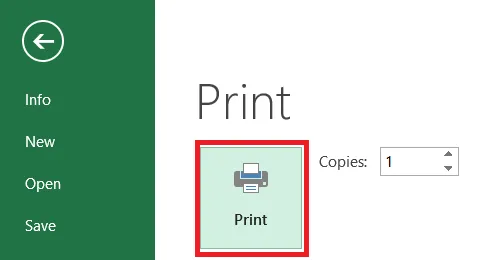 The Print button