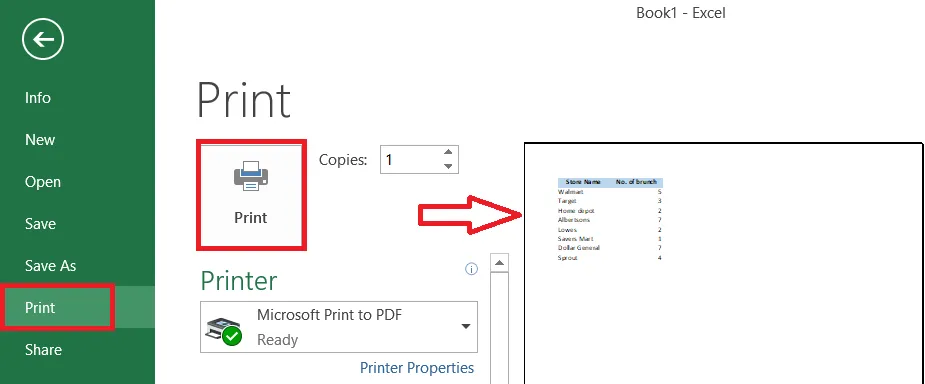 The Print screen with a preview