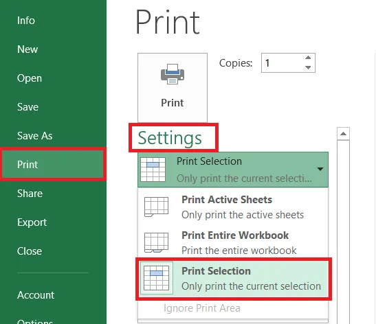 Choosing Print Selection under Settings