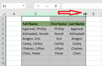 autofit multiple columns