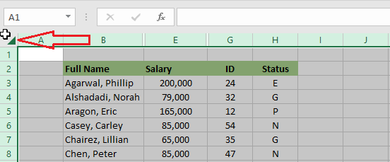 select all columns in excel