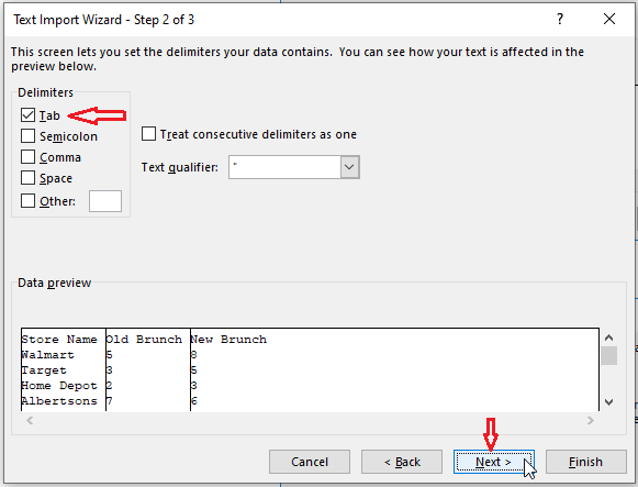 check Tab in Text Import Wizard