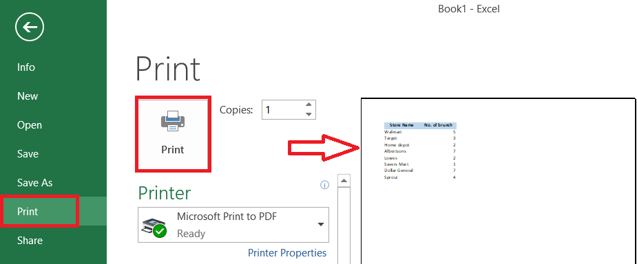 excel print preview